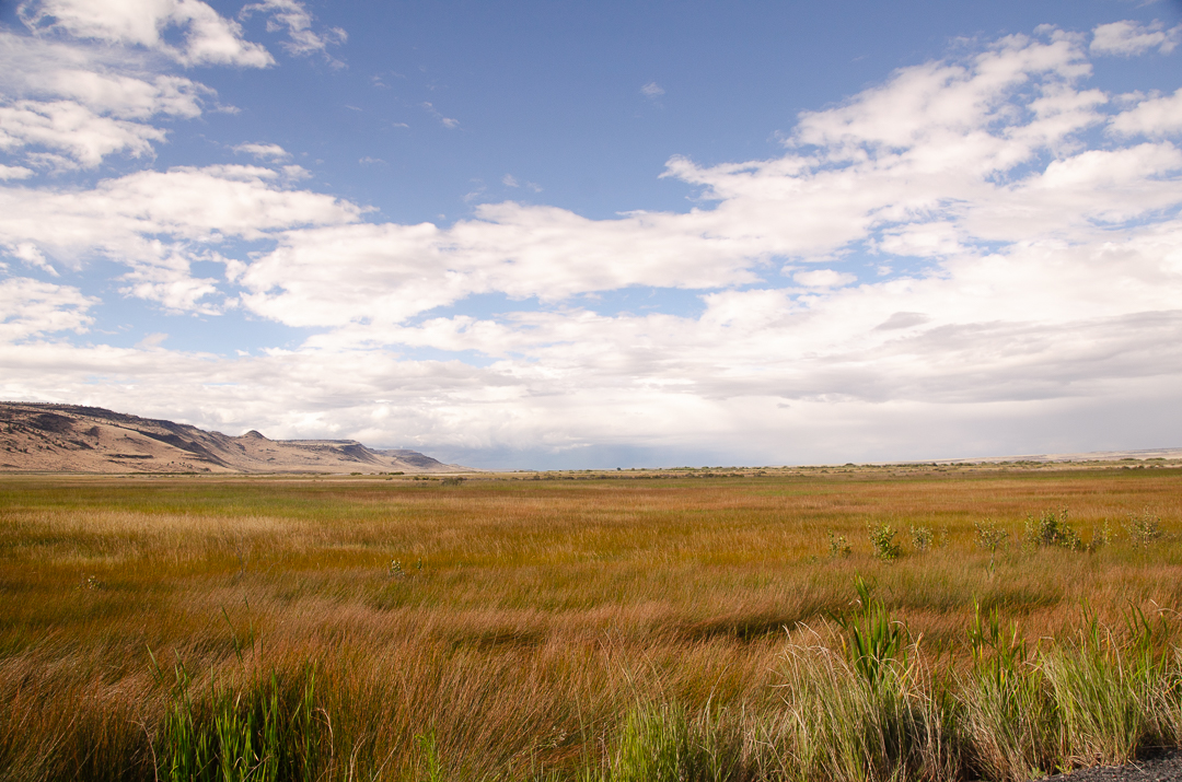 landscape of open grassland and mountains in the distance in Eastern Oregon