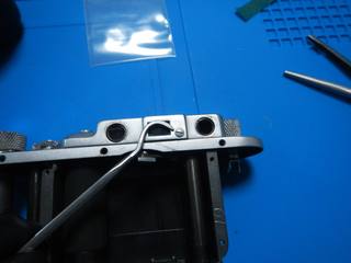 DSCN6235